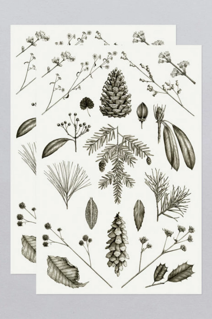 Tattly Conifers Tattoo Sheets BEAUTY 6 Tattly Conifers Tattoo Sheets BEAUTY