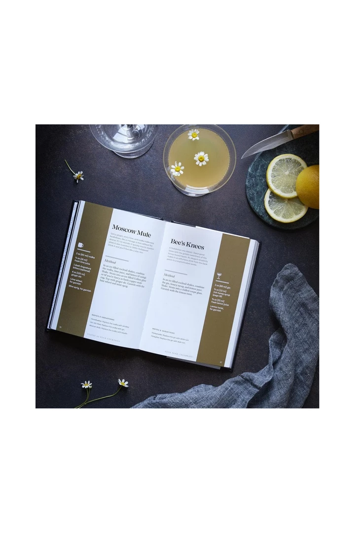 Chronicle Books Classy As Fuck Cocktails GIFT 2 Chronicle Books Classy As Fuck Cocktails GIFT