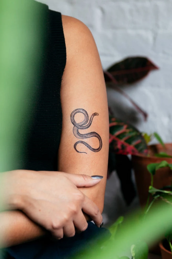 Tattly BEAUTY Flora And Fauna Tattoo Set 4 Tattly BEAUTY Flora And Fauna Tattoo Set