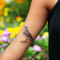 Tattly BEAUTY Flora And Fauna Tattoo Set 11 Tattly BEAUTY Flora And Fauna Tattoo Set