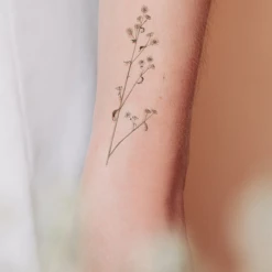 Tattly Conifers Tattoo Sheets BEAUTY 8 Tattly Conifers Tattoo Sheets BEAUTY