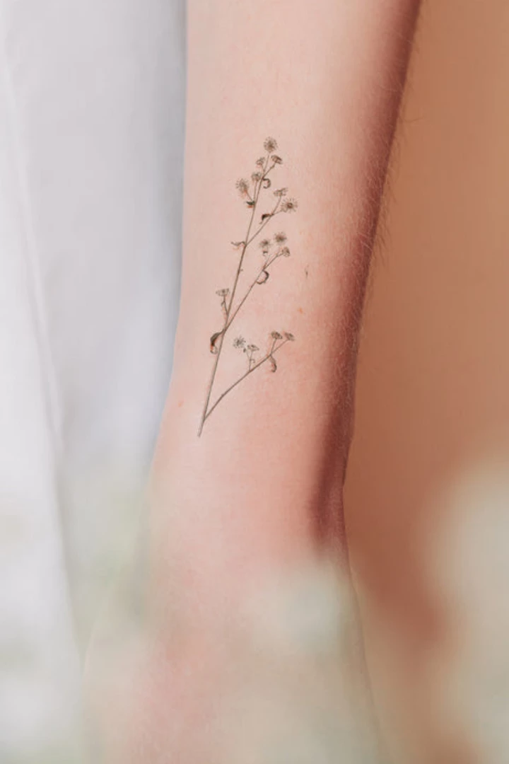 Tattly Conifers Tattoo Sheets BEAUTY 3 Tattly Conifers Tattoo Sheets BEAUTY