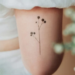 Tattly Conifers Tattoo Sheets BEAUTY 9 Tattly Conifers Tattoo Sheets BEAUTY