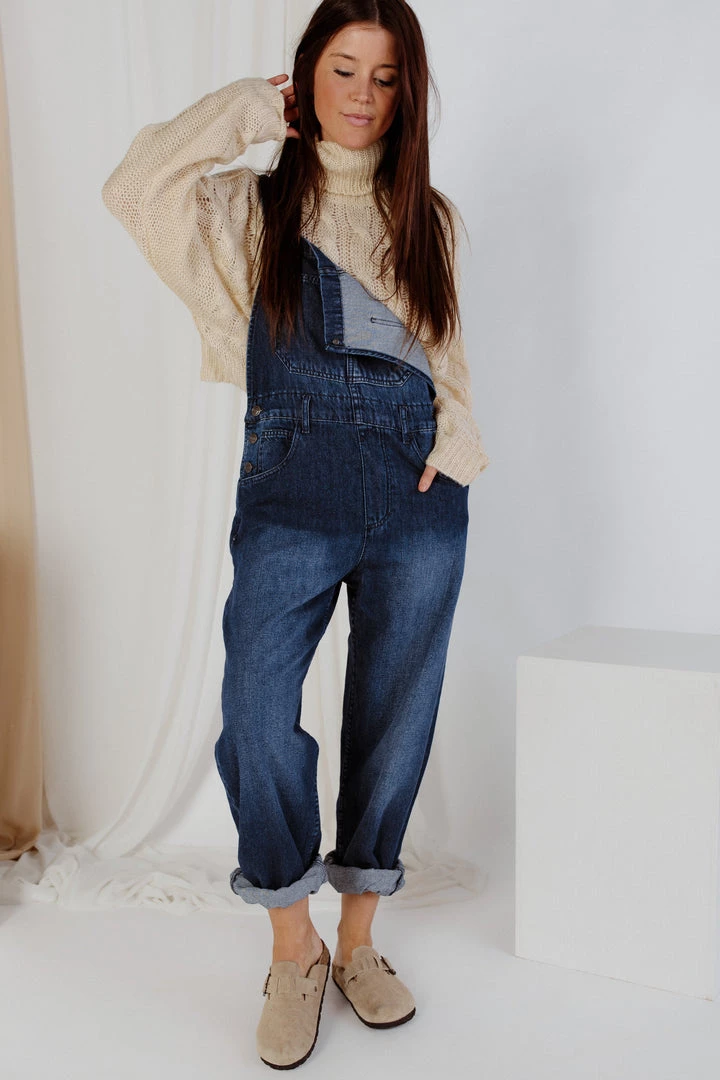 Free People Ziggy Denim Overall 30 Free People Ziggy Denim Overall
