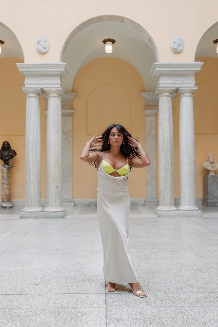 Runaway The Label Remi Slip Dress 5 Runaway The Label Remi Slip Dress