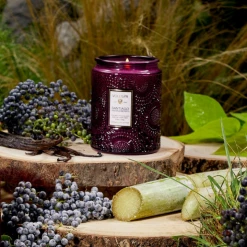 RESTOCKED Voluspa Small Embossed Glass Jar - Santiago Huckleberry