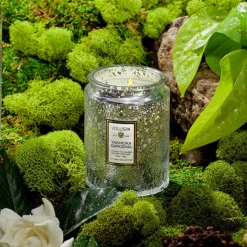 Voluspa Small Embossed Glass Jar - Yashioka GIFT